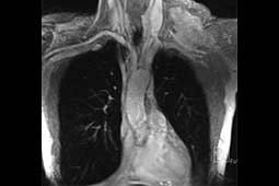 View Figure 1 larger