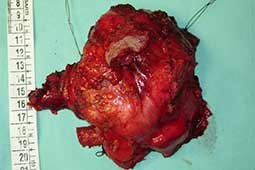 View Figure 2 larger