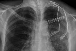 View Figure 5 larger